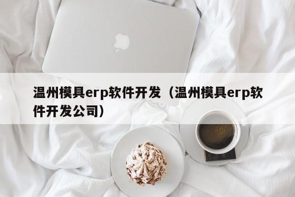温州模具erp软件开发（温州模具erp软件开发公司）