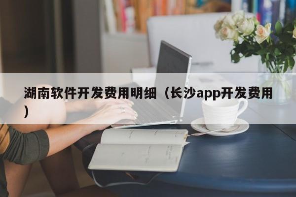 湖南软件开发费用明细（长沙app开发费用）