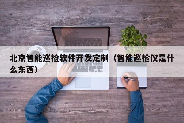 北京智能巡检软件开发定制（智能巡检仪是什么东西）