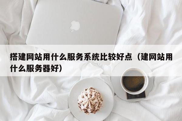 搭建网站用什么服务系统比较好点(建网站用什么服务器好)