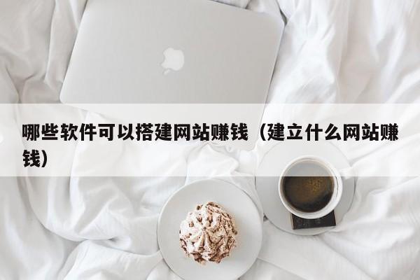哪些软件可以搭建网站赚钱（建立什么网站赚钱）