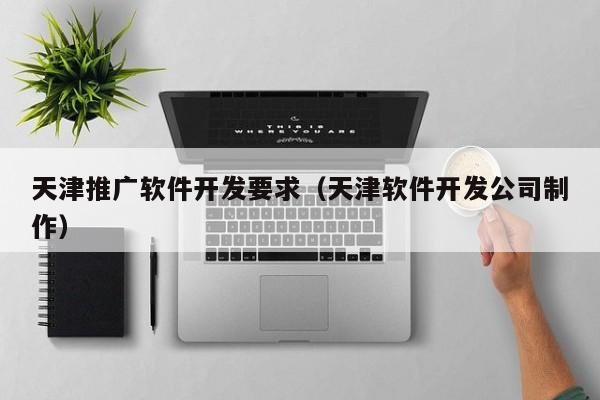 天津推广软件开发要求（天津软件开发公司制作）