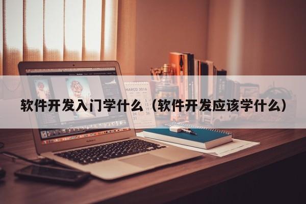 软件开发入门学什么（软件开发应该学什么）