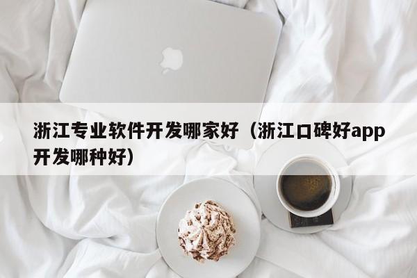 浙江专业软件开发哪家好（浙江口碑好app开发哪种好）