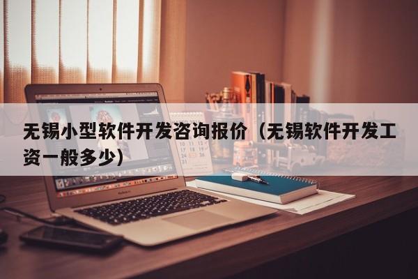 无锡小型软件开发咨询报价（无锡软件开发工资一般多少）