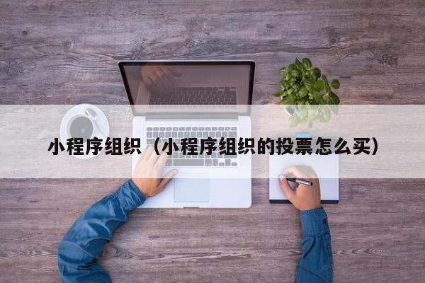 小程序组织（小程序组织的投票怎么买）