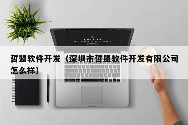 哲盟软件开发（深圳市哲盟软件开发有限公司怎么样）