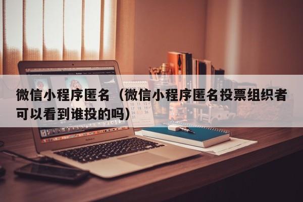 微信小程序匿名（微信小程序匿名投票组织者可以看到谁投的吗）