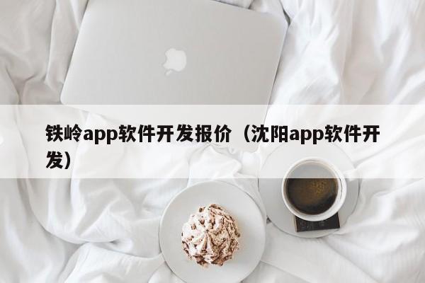 铁岭app软件开发报价（沈阳app软件开发）