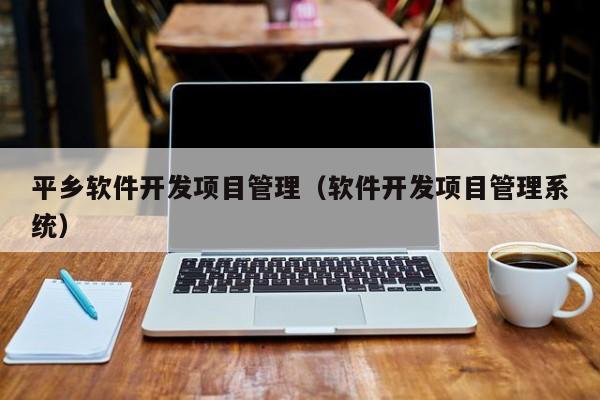平乡软件开发项目管理（软件开发项目管理系统）