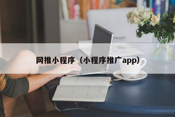 网推小程序（小程序推广app）