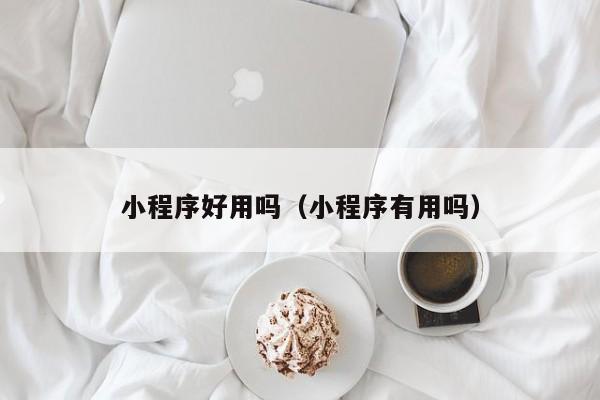 小程序好用吗（小程序有用吗）
