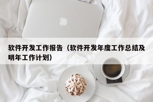 软件开发工作报告（软件开发年度工作总结及明年工作计划）
