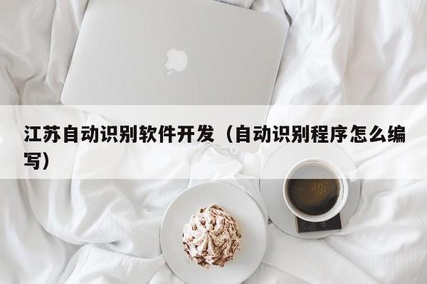 江苏自动识别软件开发（自动识别程序怎么编写）