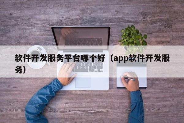 软件开发服务平台哪个好（app软件开发服务）