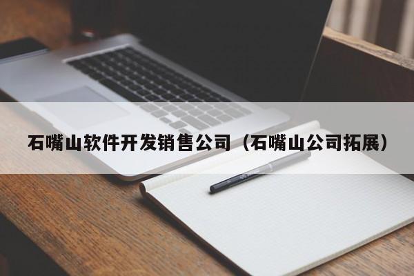 石嘴山软件开发销售公司（石嘴山公司拓展）