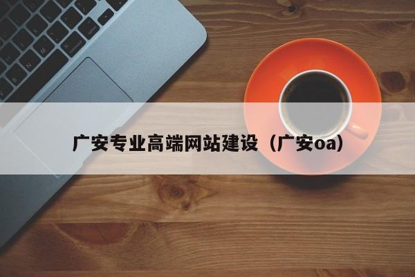 广安专业高端网站建设（广安oa）