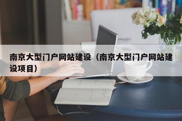 南京大型门户网站建设（南京大型门户网站建设项目）
