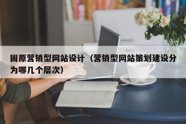 固原营销型网站设计(营销型网站策划建设分为哪几个层次)