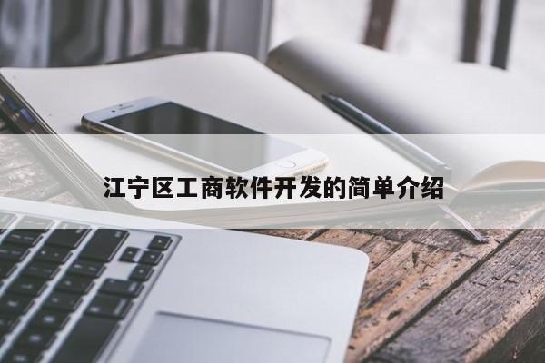 江宁区工商软件开发的简单介绍