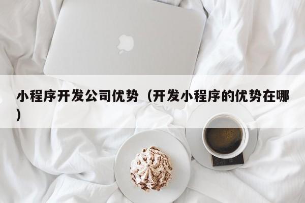 小程序开发公司优势（开发小程序的优势在哪）