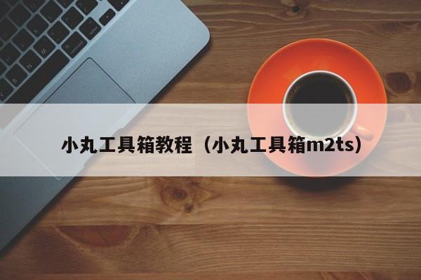 小丸工具箱教程（小丸工具箱m2ts）