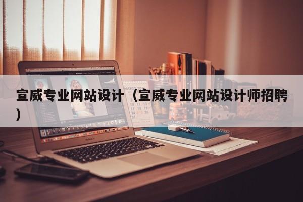 宣威专业网站设计（宣威专业网站设计师招聘）