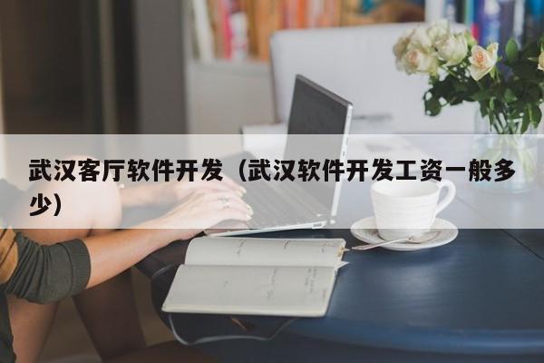 武汉客厅软件开发（武汉软件开发工资一般多少）