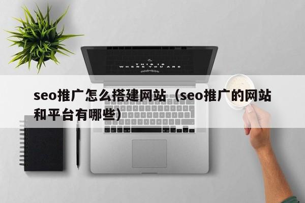 seo推广怎么搭建网站（seo推广的网站和平台有哪些）