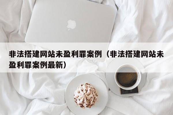 非法搭建网站未盈利罪案例(非法搭建网站未盈利罪案例最新)