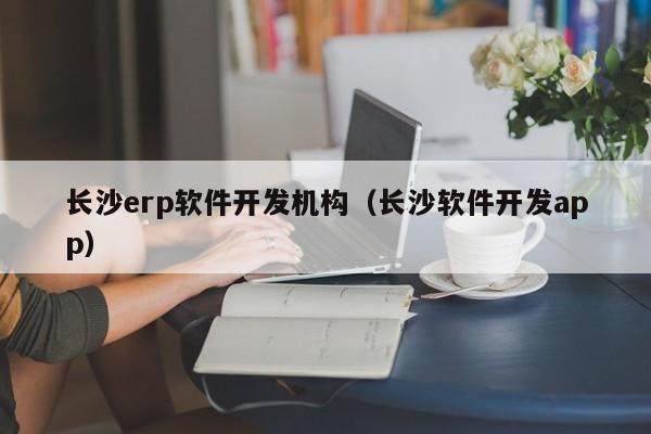 长沙erp软件开发机构（长沙软件开发app）