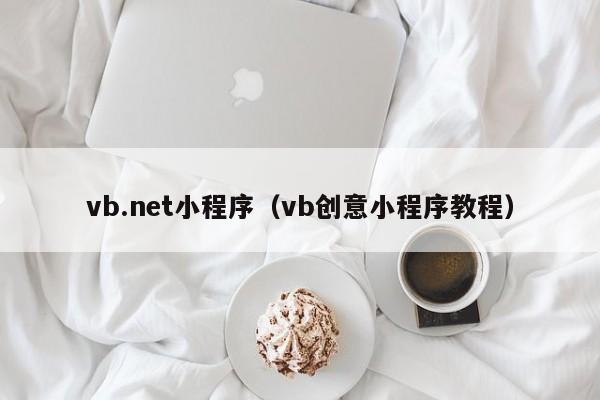 vb.net小程序(vb创意小程序教程)