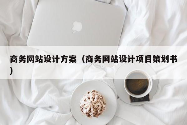 商务网站设计方案（商务网站设计项目策划书）
