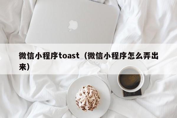 微信小程序toast(微信小程序怎么弄出来)