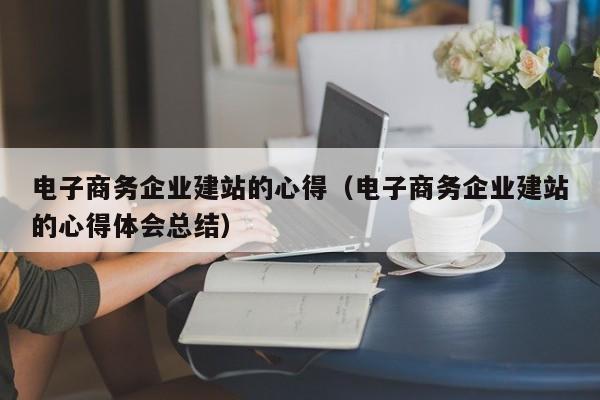 电子商务企业建站的心得（电子商务企业建站的心得体会总结）