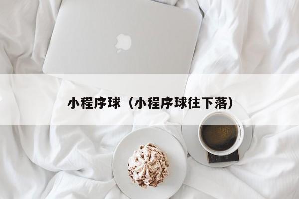 小程序球（小程序球往下落）