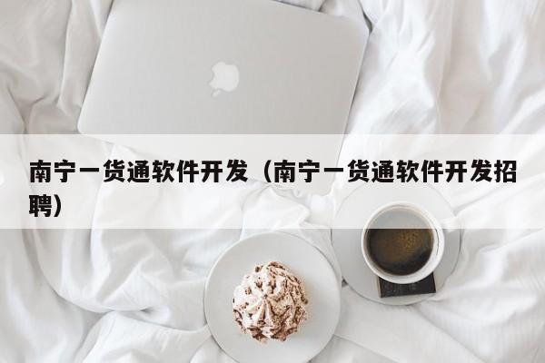 南宁一货通软件开发（南宁一货通软件开发招聘）