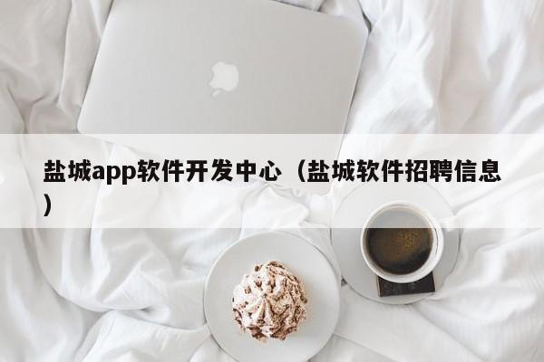 盐城app软件开发中心（盐城软件招聘信息）