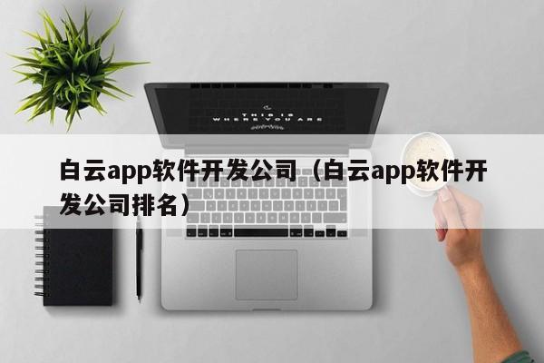 白云app软件开发公司（白云app软件开发公司排名）