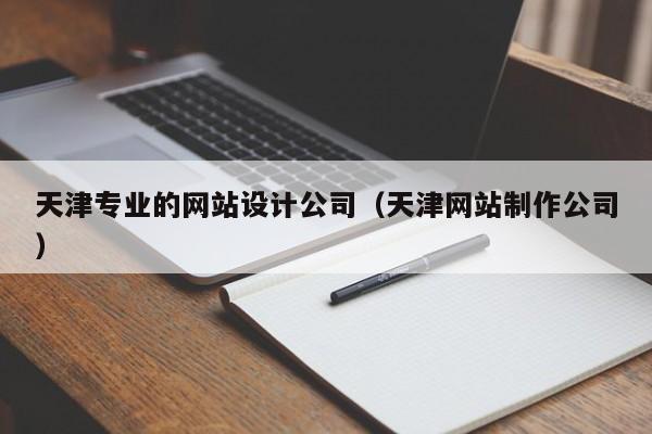 天津专业的网站设计公司（天津网站制作公司）