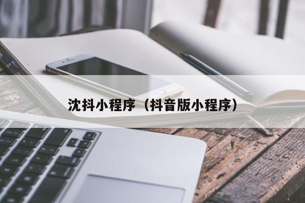 沈抖小程序（抖音版小程序）