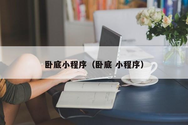 卧底小程序(卧底 小程序)