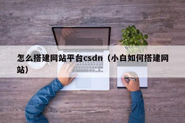怎么搭建网站平台csdn(小白如何搭建网站)