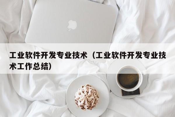 工业软件开发专业技术（工业软件开发专业技术工作总结）