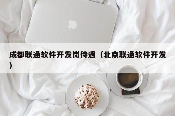 成都联通软件开发岗待遇（北京联通软件开发）