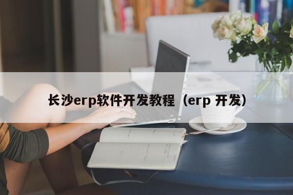 长沙erp软件开发教程（erp 开发）