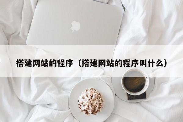 搭建网站的程序（搭建网站的程序叫什么）