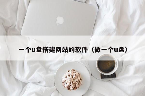 一个u盘搭建网站的软件（做一个u盘）
