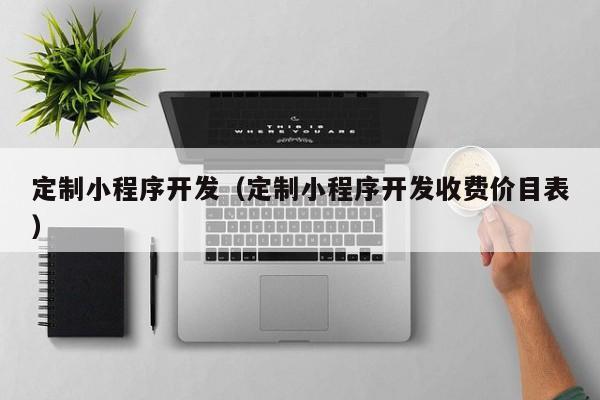定制小程序开发（定制小程序开发收费价目表）