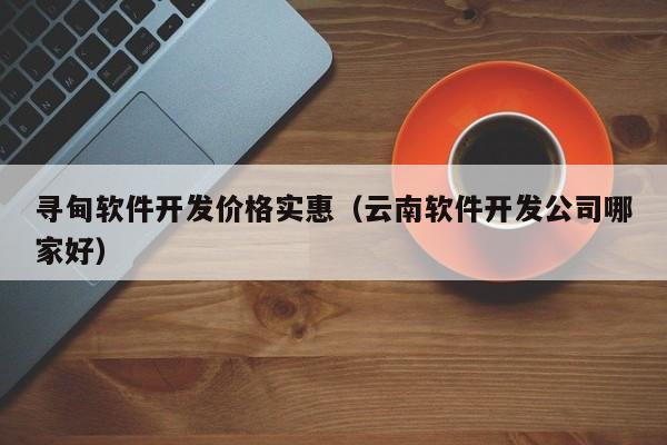 寻甸软件开发价格实惠（云南软件开发公司哪家好）